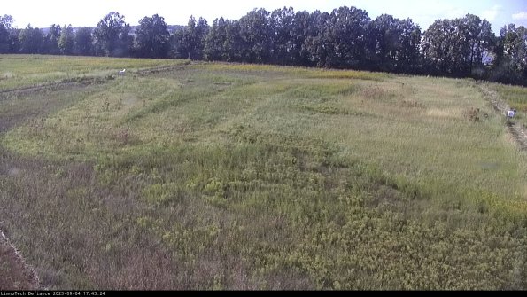 Cell 3_23-09-04_17-43-24-86