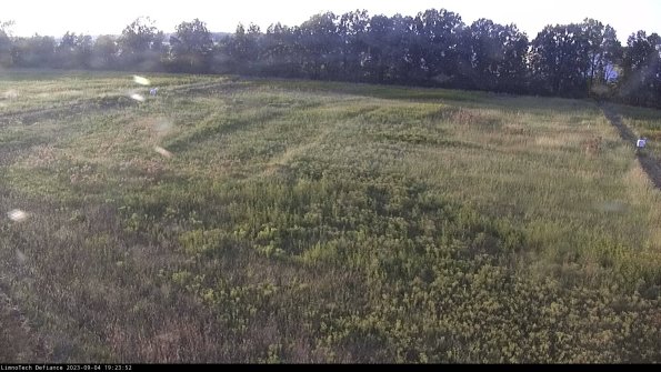 Cell 3_23-09-04_19-23-52-88