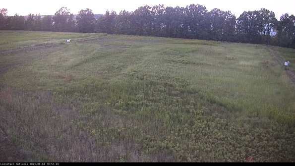 Cell 3_23-09-04_19-57-21-13