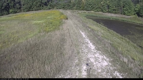 Cell 4 to Basin_23-09-04_17-10-53-87