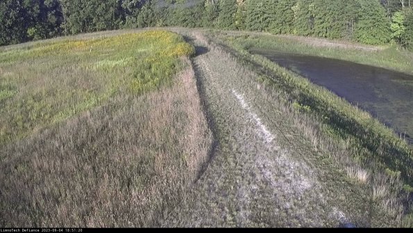 Cell 4 to Basin_23-09-04_18-51-20-88