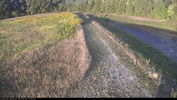 Cell 4 to Basin_23-09-04_19-24-50-87