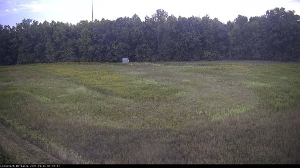 Cell 4_23-09-04_07-07-31-87