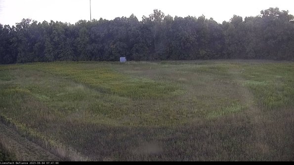 Cell 4_23-09-04_07-41-00-85