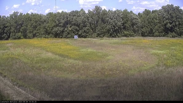 Cell 4_23-09-04_14-56-25-90