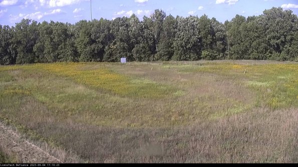 Cell 4_23-09-04_17-10-23-87