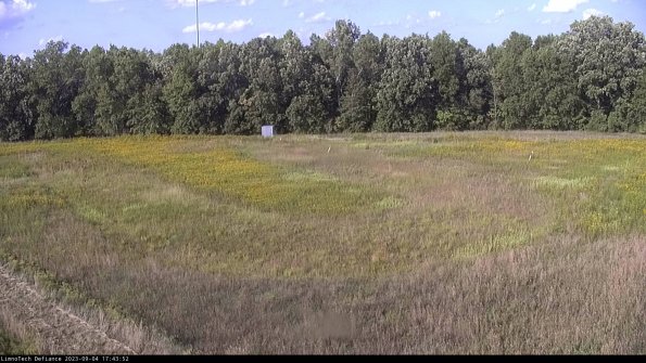 Cell 4_23-09-04_17-43-52-89