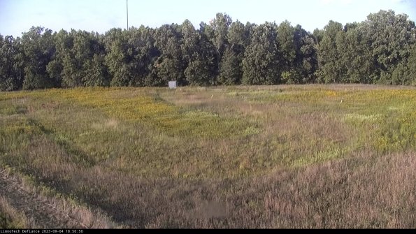 Cell 4_23-09-04_18-50-50-89