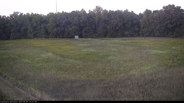 Cell 4_23-09-04_19-57-48-89