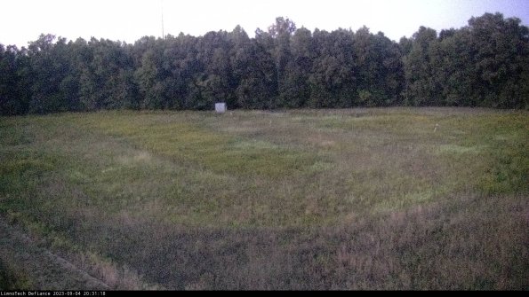 Cell 4_23-09-04_20-31-18-88