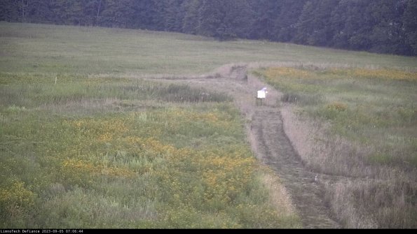 Cell 1 to 2_23-09-05_07-06-44-89