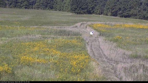 Cell 1 to 2_23-09-05_10-27-40-88