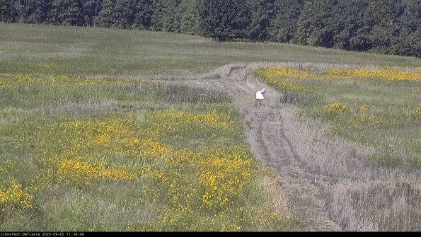 Cell 1 to 2_23-09-05_11-34-40-88