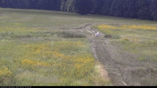 Cell 1 to 2_23-09-05_16-02-36-89