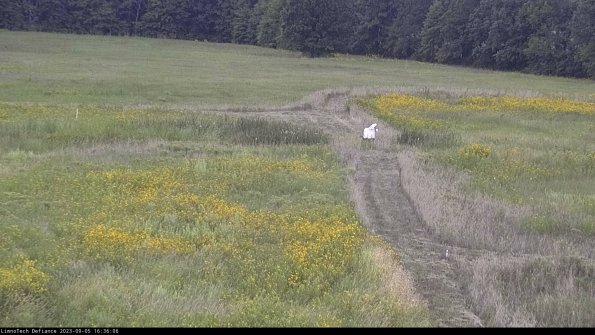 Cell 1 to 2_23-09-05_16-36-06-87