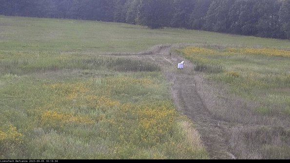 Cell 1 to 2_23-09-05_18-16-34-90