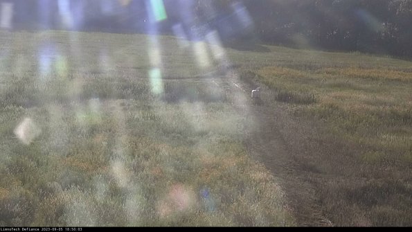 Cell 1 to 2_23-09-05_18-50-03-88