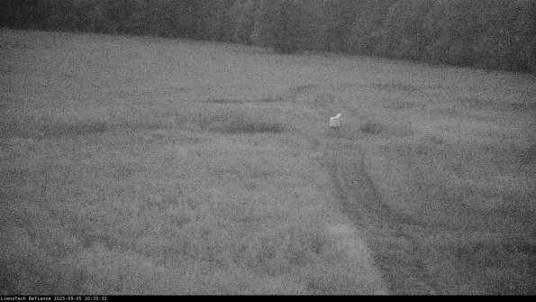 Cell 1 to 2_23-09-05_20-30-32-88