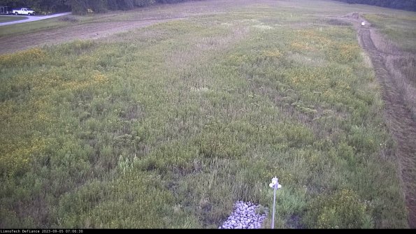 Cell 1_23-09-05_07-06-30-88