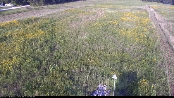 Cell 1_23-09-05_08-13-29-89