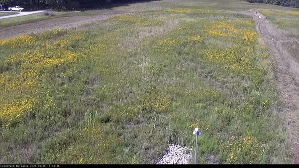 Cell 1_23-09-05_11-34-26-90