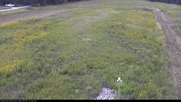 Cell 1_23-09-05_16-35-52-89