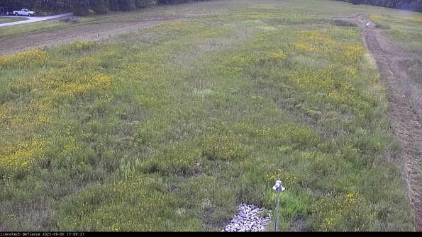 Cell 1_23-09-05_17-09-21-88