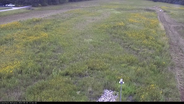 Cell 1_23-09-05_17-42-50-90