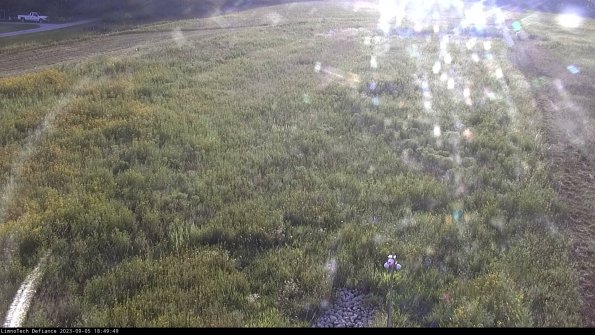 Cell 1_23-09-05_18-49-49-87