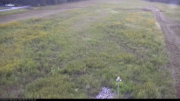 Cell 1_23-09-05_19-23-19-86