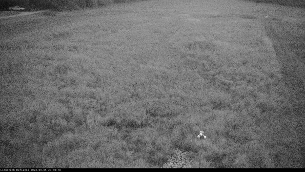 Cell 1_23-09-05_20-30-18-86