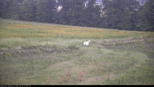 Cell 2 to 3_23-09-05_07-07-10-95