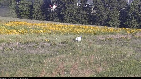 Cell 2 to 3_23-09-05_08-47-39-98