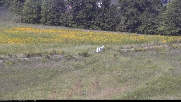 Cell 2 to 3_23-09-05_12-42-06-98