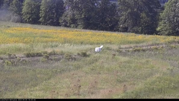 Cell 2 to 3_23-09-05_16-03-03-08