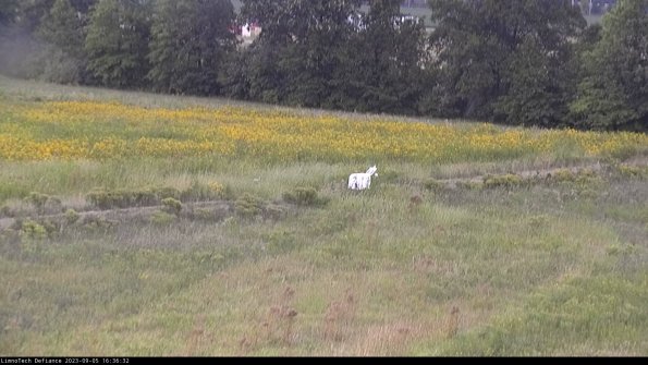 Cell 2 to 3_23-09-05_16-36-32-97