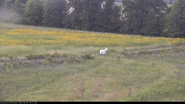 Cell 2 to 3_23-09-05_18-17-00-96