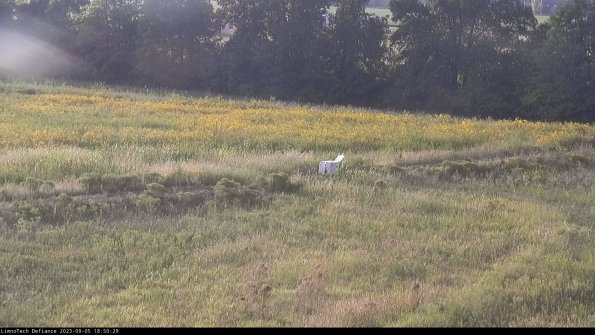 Cell 2 to 3_23-09-05_18-50-30-08