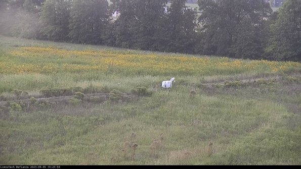 Cell 2 to 3_23-09-05_19-24-00-00