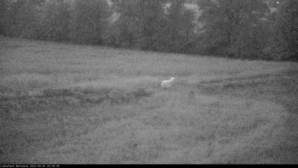 Cell 2 to 3_23-09-05_20-30-59-87