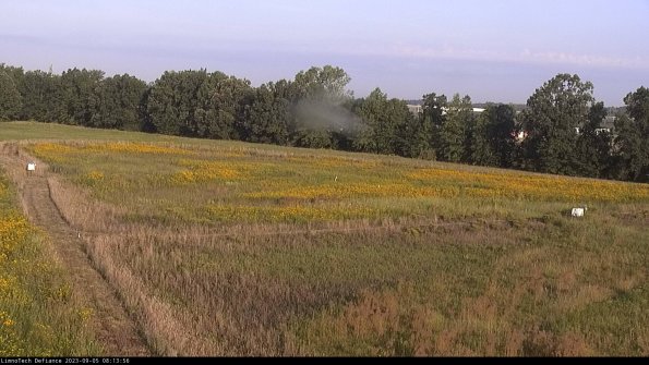 Cell 2_23-09-05_08-13-56-98