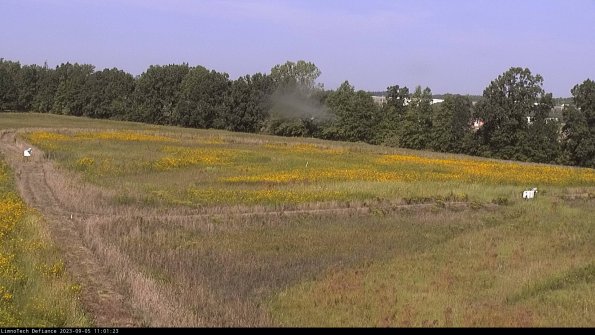 Cell 2_23-09-05_11-01-23-88