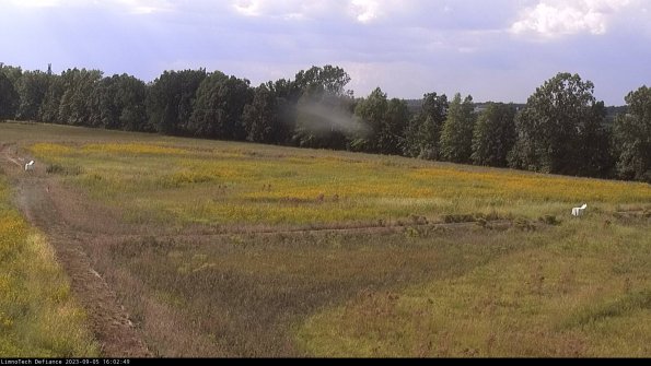 Cell 2_23-09-05_16-02-49-97