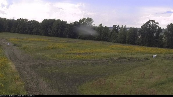 Cell 2_23-09-05_17-09-48-97