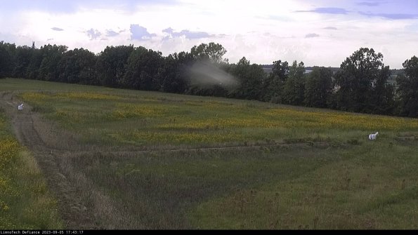 Cell 2_23-09-05_17-43-17-89