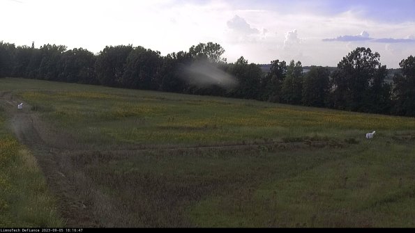 Cell 2_23-09-05_18-16-47-91