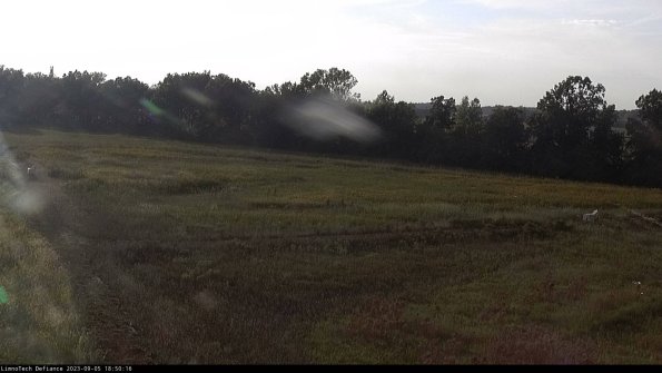 Cell 2_23-09-05_18-50-17-00