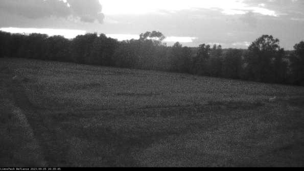 Cell 2_23-09-05_20-30-45-99