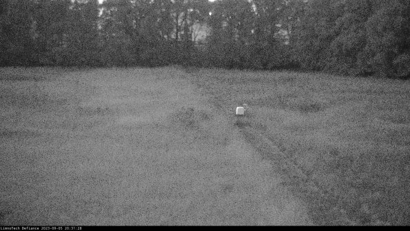 Cell 3 to 4_23-09-05_20-31-28-87