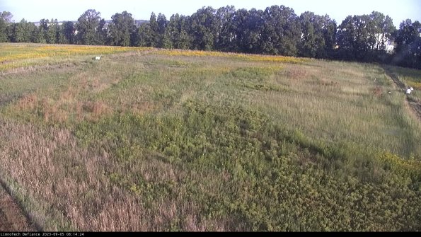 Cell 3_23-09-05_08-14-24-87